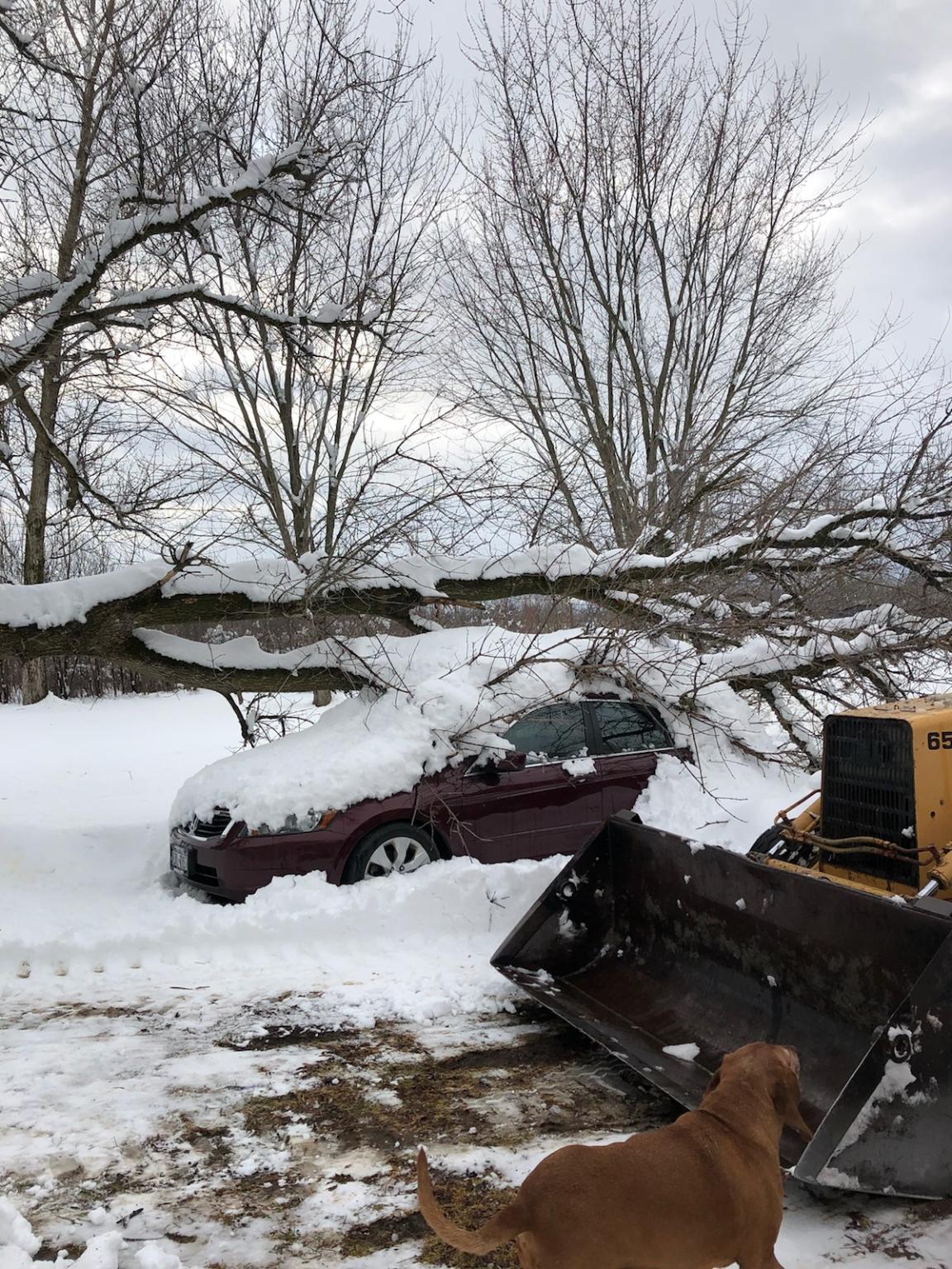 Schmalz Excavation Snow Plowing, Salting and removal Verona NY